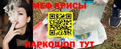 стаф Гай