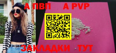 стаф Гай