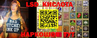 стаф Гай
