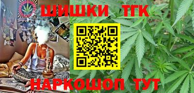 стаф Гай