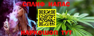 стаф Гай