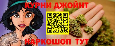 стаф Гай