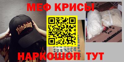 стаф Гай